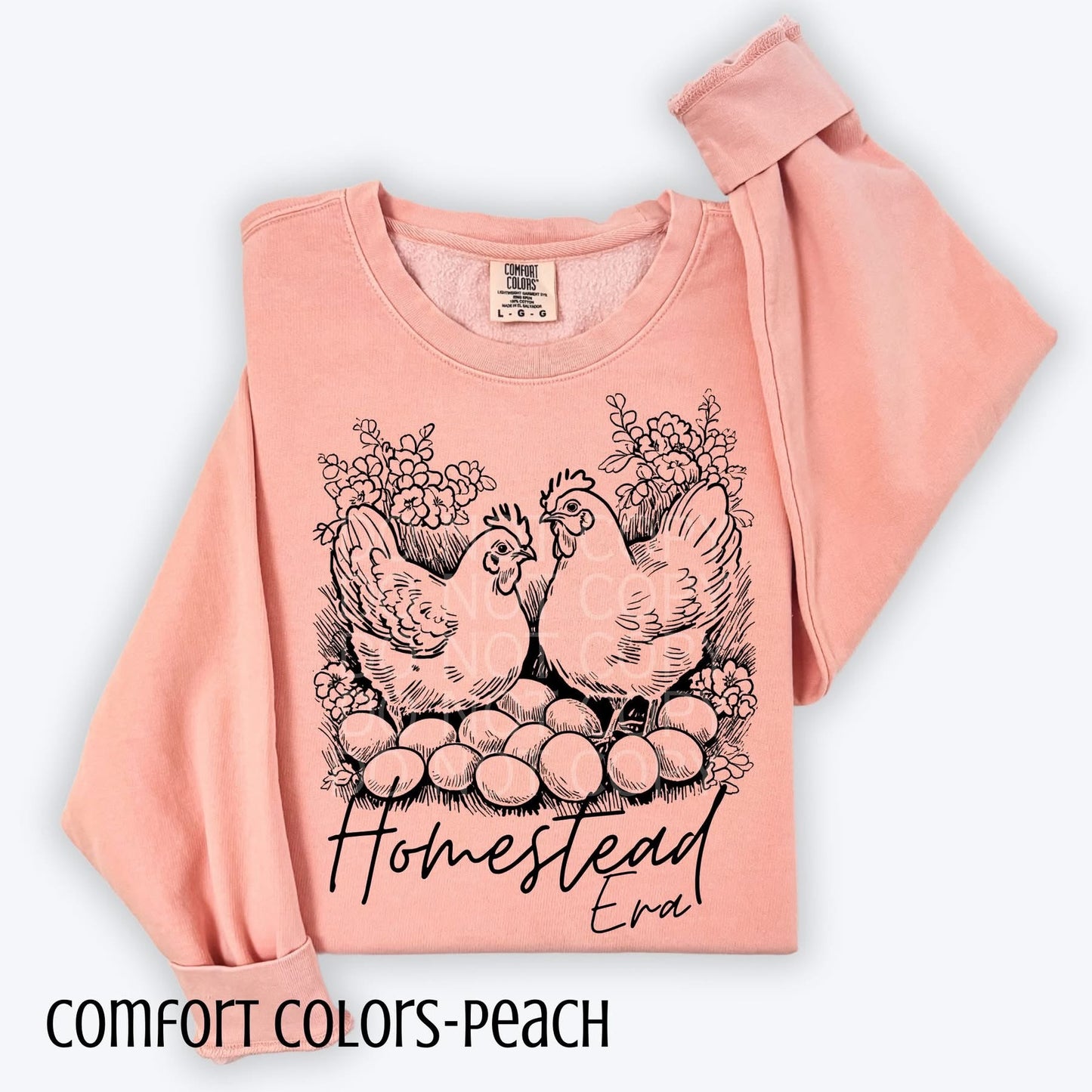 Homestead Era with Chickens