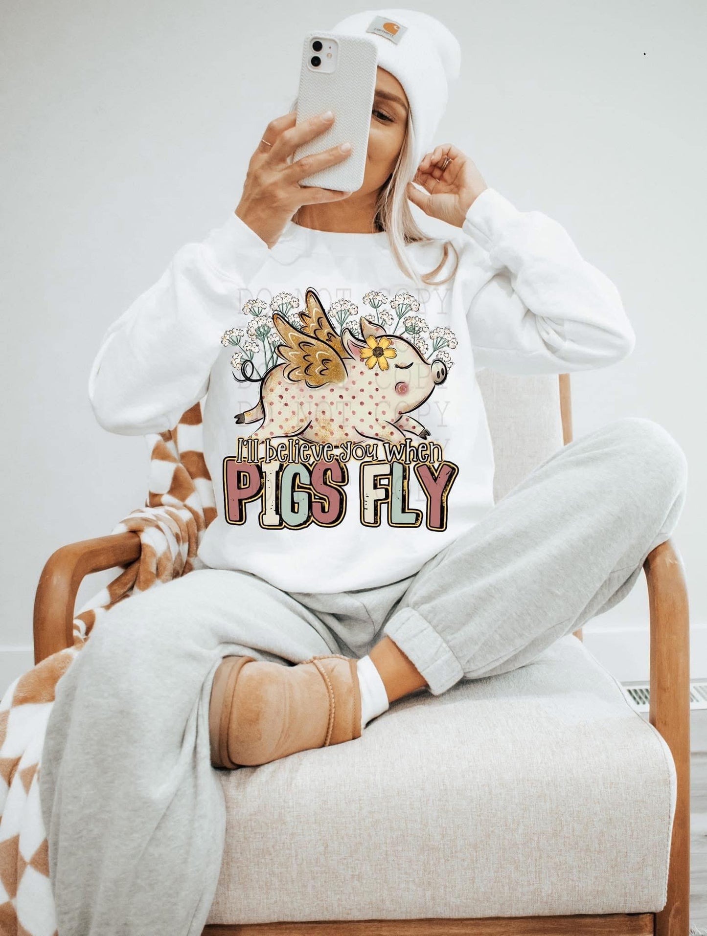 I'll Believe You When Pigs Fly