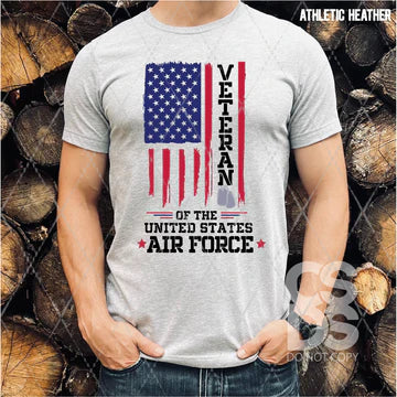 Veteran of the United States Collection