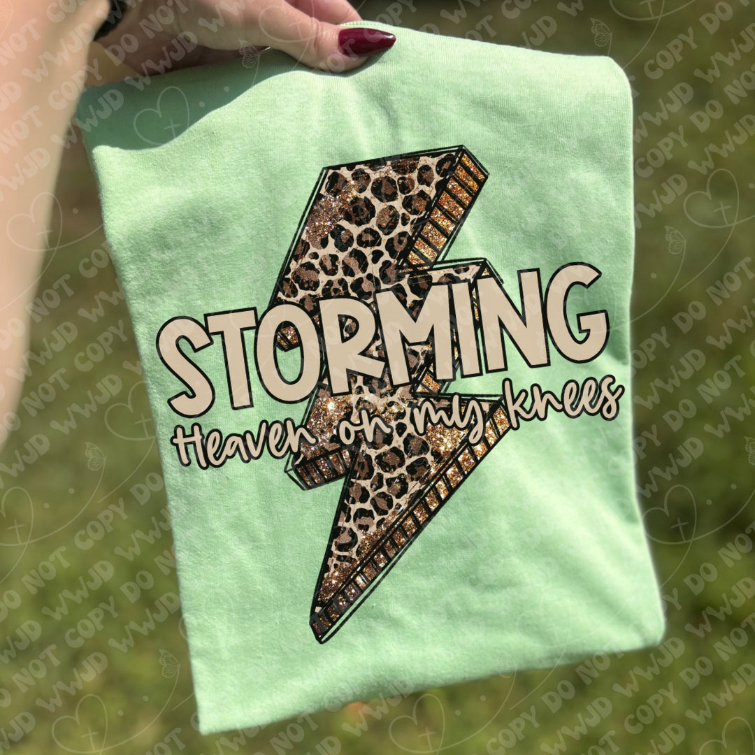 Storming Heaven On My Knees