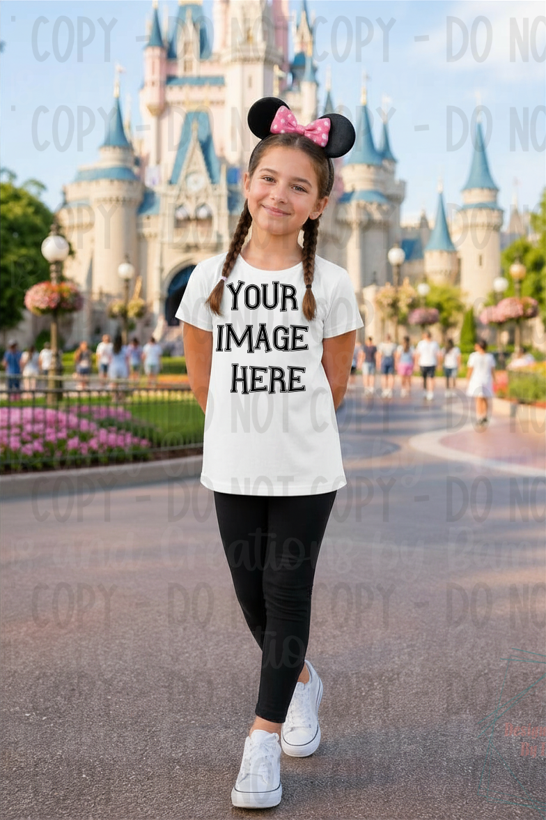 Variety of Theme Park Tshirt Gildan Apparel Mock Ups