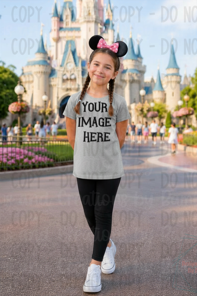 Variety of Theme Park Tshirt Gildan Apparel Mock Ups