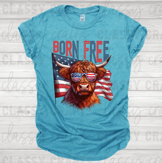 Born Free Highland Cow