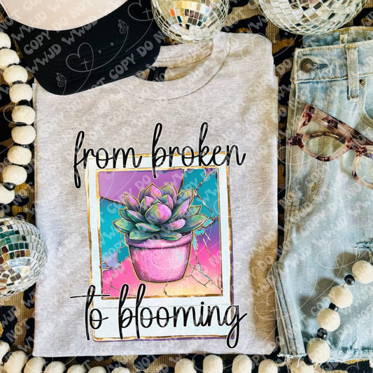 Fron Broken to Blooming