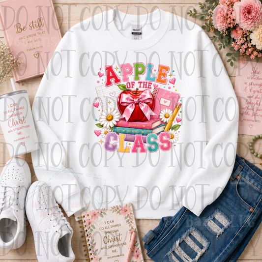Faux Embroidery Apple of the Class