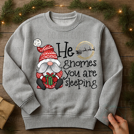 He Gnomes You Are Sleeping