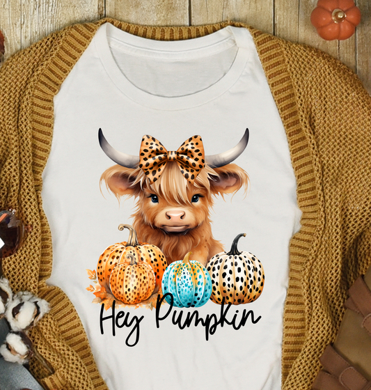 Highland Cow- Hey Pumpkin