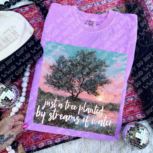 Planted By Streams