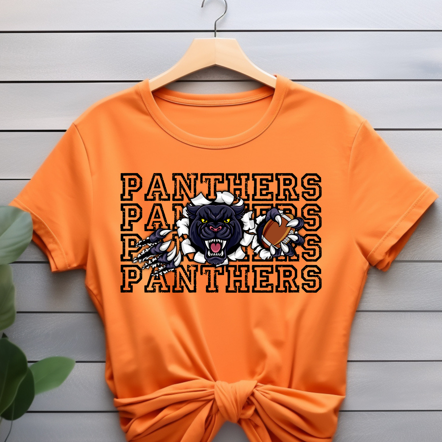 Panthers Stacked with Panther and Football