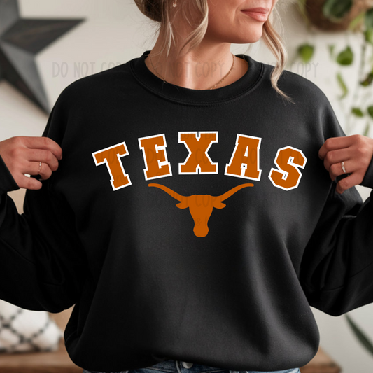 Texas with White Outline and Cow Head