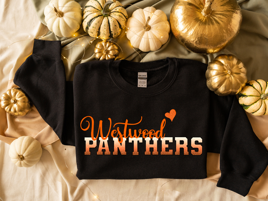 Panthers Ombre Light to Dark with Orange Westwood