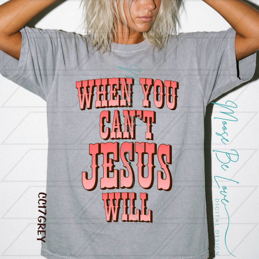 When You Can't Jesus Will Pink Coral Font
