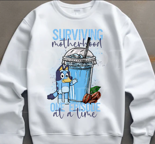 Surviving Motherhood BD