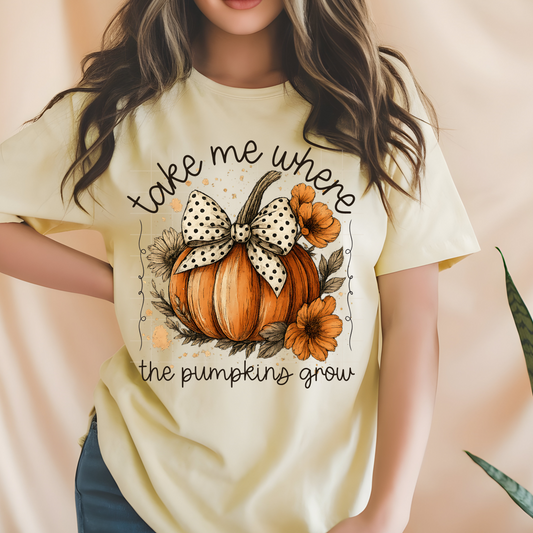 Take Me Where The Pumpkins Grow